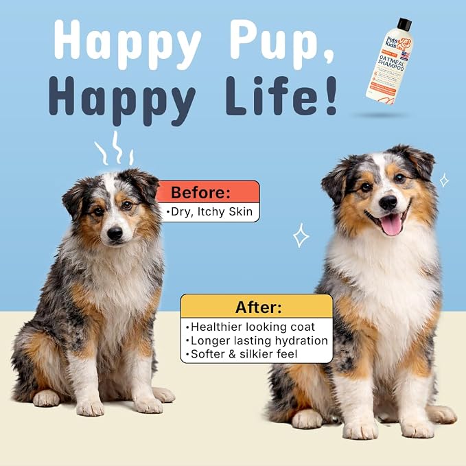 Pets are Kids Premium Oatmeal Shampoo for Dogs, 17 oz – Natural Itch Relief, Dry Skin Soother, Hydrated & Shiny Coat – Gentle Formula with Aloe, Coconut & Baking Soda – Natural & Hypoallergenic