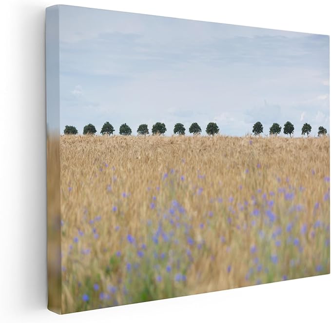 Monem Art Golden Meadow Horizon Landscape Print - Minimalist Nature Photography Poster - Wall Decor for Living Room, Bedroom or Office - 18x24 STRETCHED CANVAS Wall Art by Mareike Bohmer