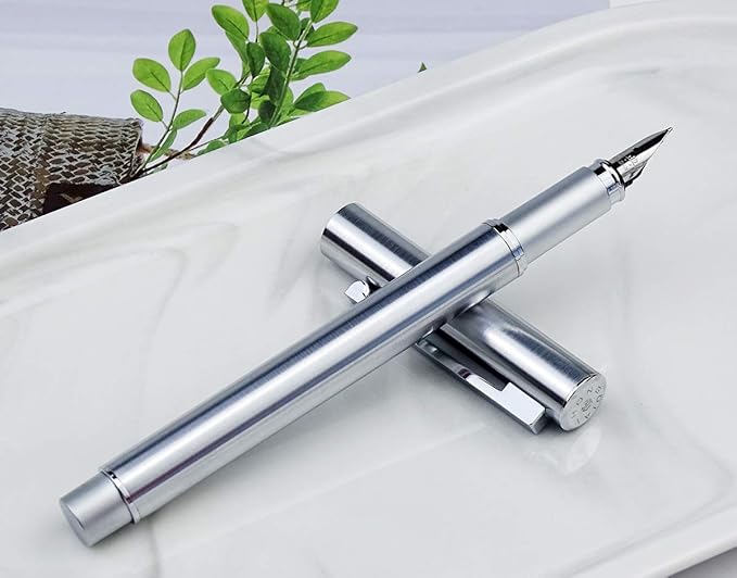 Hongdian 516 Stainless Steel Fountain Pen Fine Nib, Classic Design with Converter and Pen Pouch