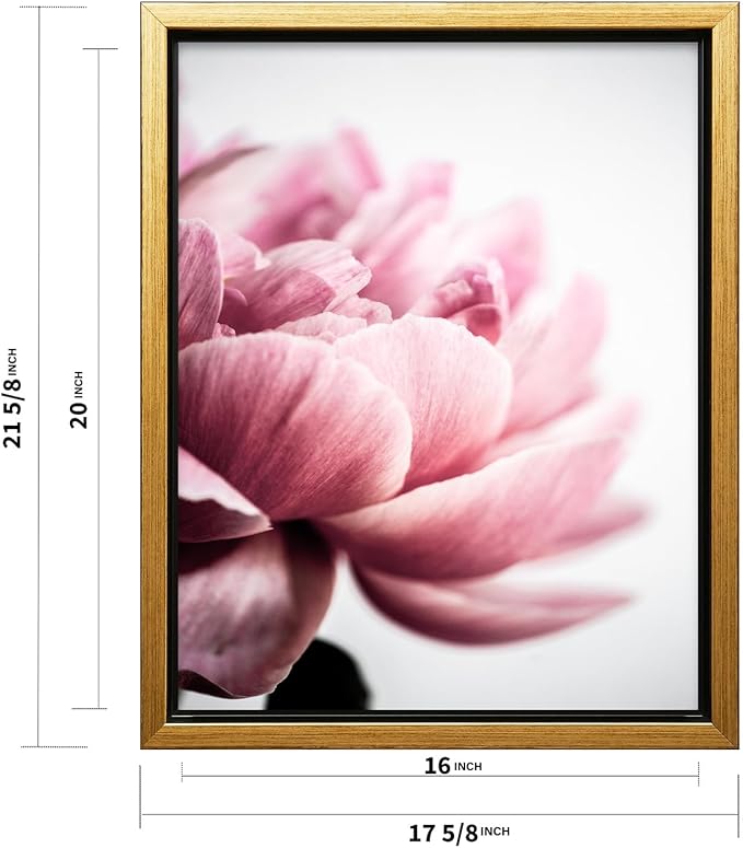 Monem Art Pink Peony Macro Photography Print - Minimalist Floral Art Poster - Wall Decor for Living Room, Bedroom or Office - 16x20 Gold Framed CANVAS Wall Art by Mareike Bohmer