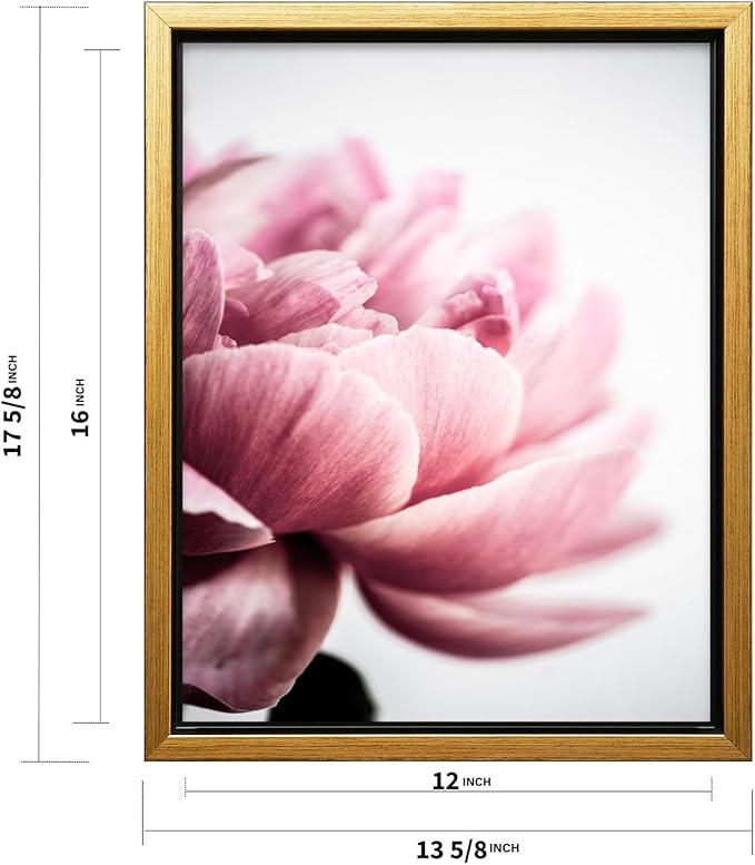 Monem Art Pink Peony Macro Photography Print - Minimalist Floral Art Poster - Wall Decor for Living Room, Bedroom or Office - 12x16 Gold Framed CANVAS Wall Art by Mareike Bohmer