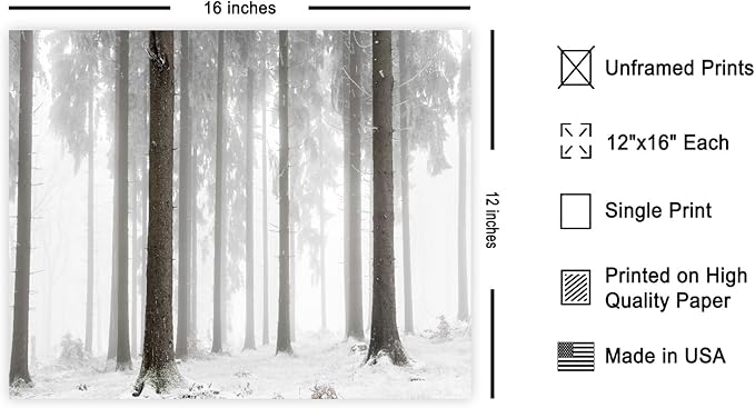 Monem Art Foggy Winter Forest Photography Print - Minimalist Snowy Landscape Poster - Wall Decor for Living Room, Bedroom or Office - 12x16 Unframed Wall Art by Mareike Bohmer