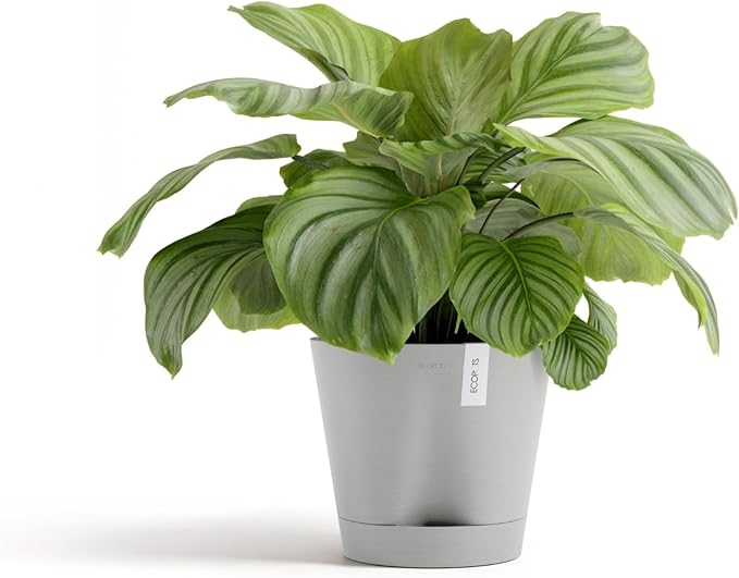 Ecopots Venice 2 Durable Modern Round Indoor/Outdoor Recycled-Based Composite Flower Pot Planter w/Water Reservoir, White Grey, 12"
