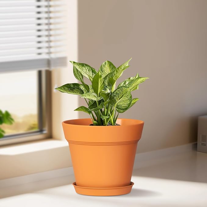 WSMKSZ 4 Inch Plastic Plant Pots with Drainage Holes and Trays – 8 Pack Small Nursery Pots for Indoor & Outdoor House Plants and Flowers, Seedling Starter Planters, Terracotta