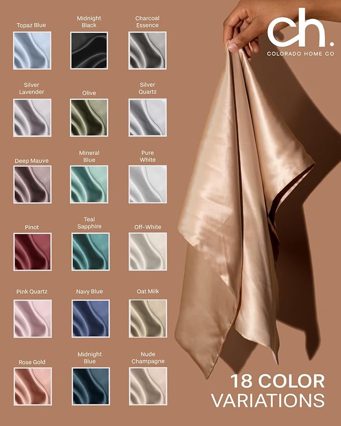 SUNDAYSILKS™ Premium Silk Pillow Cases | 100% Mulberry Silk Pillowcase with Zipper, All Sides Real 22 Momme Grade 6A Silk, Standard Queen, King Size