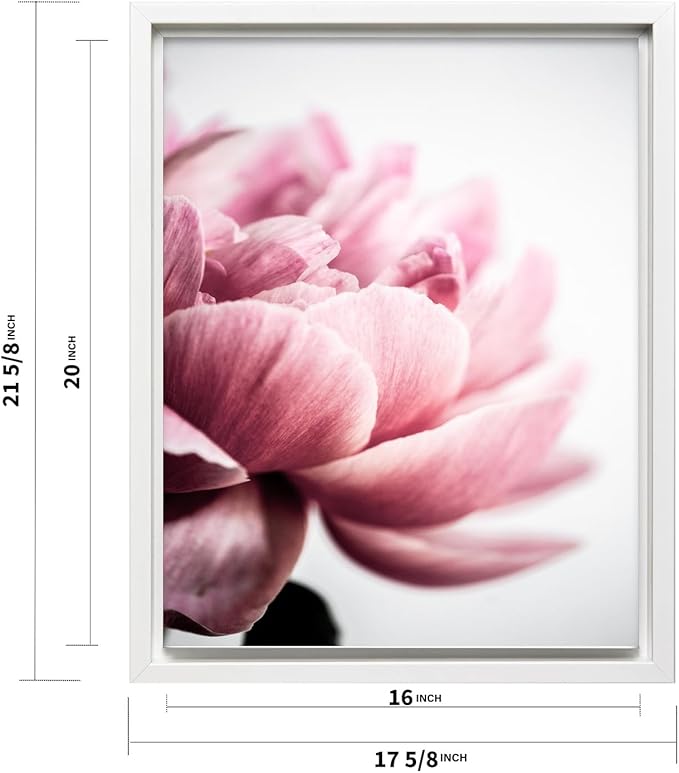 Monem Art Pink Peony Macro Photography Print - Minimalist Floral Art Poster - Wall Decor for Living Room, Bedroom or Office - 16x20 White Framed CANVAS Wall Art by Mareike Bohmer