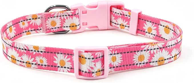 Dog Collar Leash Set, Floral Pattern, with Safety Reflective Strips, 5 ft Matching Leash, Neoprene Padded Handle, Adjustable 4 Sizes for Small Medium Large Dogs.(L, Pink Daisy)