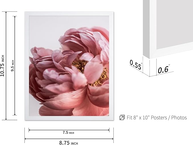 Monem Art Blush Pink Peony Print - Minimalist Floral Photography Poster - Wall Decor for Living Room, Bedroom or Office - 8x10 White Framed Wall Art by Mareike Bohmer