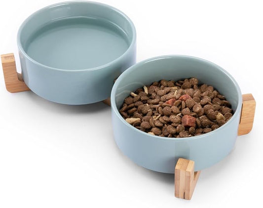 MateeyLife Ceramic Dog and Cat Bowls with Stand, 2-Pack Food and Water Bowl Set - Non-Slip Pet Bowls for Small & Medium Size Dogs，28.7OZ(Green)