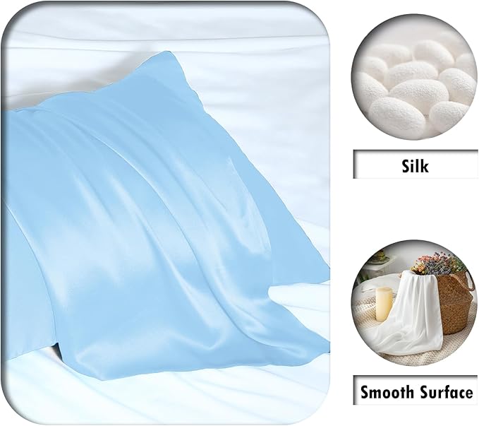 Silk Pillow Cases 2 Pack,Soft Breathable and Sliky Queen Size Pillow Cases Set of 2,Natural Mulberry Silk Pillowcase Set of 2 for Hair and Skin with Hidden Zipper (Sky Blue,20"X 30",2pcs)