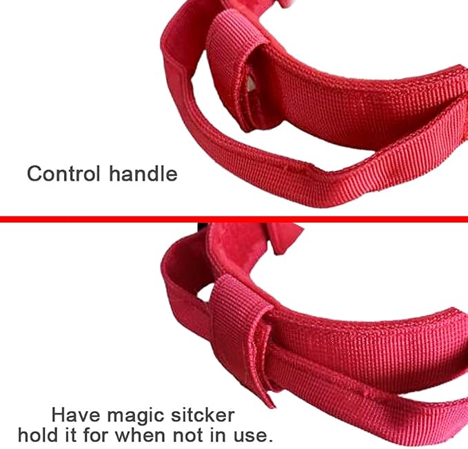 Tactical Dog Collar and Leash Set Adjustable Military Nylon Dog Collar with Control Handle and Heavy Duty Metal Buckle for Large Dogs（Red XL