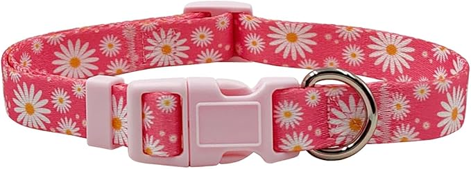Dog Collar Leash Set, Floral Pattern, Polyester Material, Adjustable Collar and 5ft Matching Leash, for Medium Dogs.(M, Daisy)