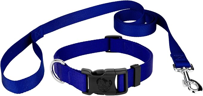 Country Brook Petz - Everyday Nylon Dog Collar and Leash - 10+ Cool Colors (1 Inch, Extra Large, Bright Royal Blue)