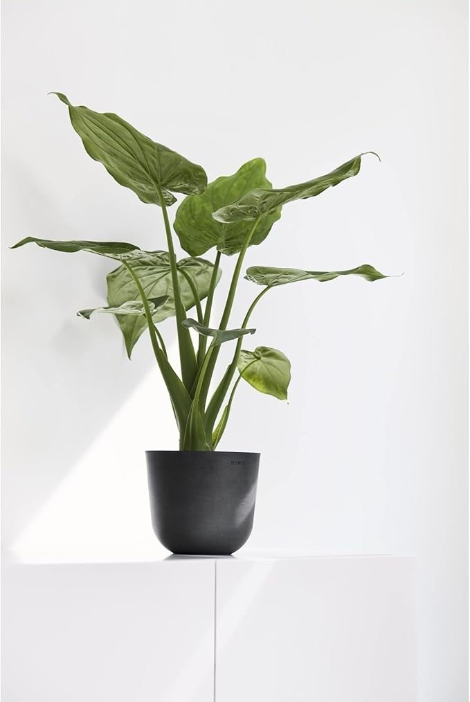 Ecopots Oslo Durable Modern Round Indoor/Outdoor Recycled-Based Composite Flower Pot Planter, White Grey, 17.75"