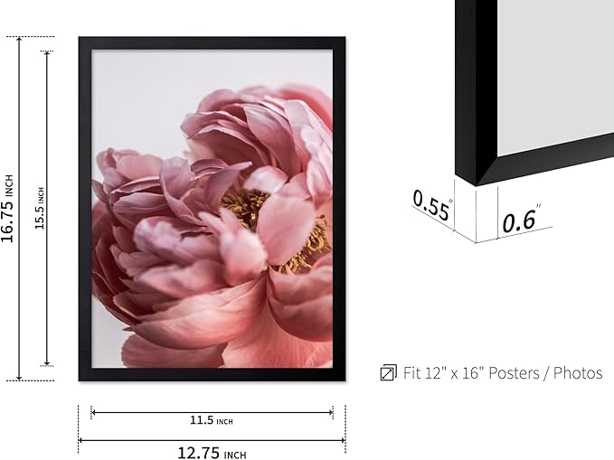 Monem Art Blush Pink Peony Print - Minimalist Floral Photography Poster - Wall Decor for Living Room, Bedroom or Office - 12x16 Black Framed Wall Art by Mareike Bohmer