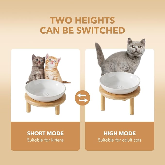 Havniva Elevated Cat Bowls Raised Ceramic Cat Bowl, 5.7” Wide Opening Cat Food Bowl Whisker Friendly Cat Dish Anti-Slip with Bamboo Stand, Shallow Pet Food & Water Bowl for Indoor Cats