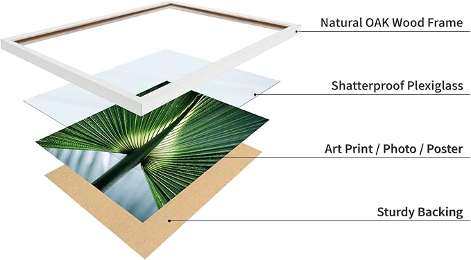 Monem Art Tropical Palm Leaf Macro Photography Print - Minimalist Botanical Nature Art Poster - Wall Decor for Living Room, Bedroom or Office - 16x20 White Framed Wall Art by Mareike Bohmer