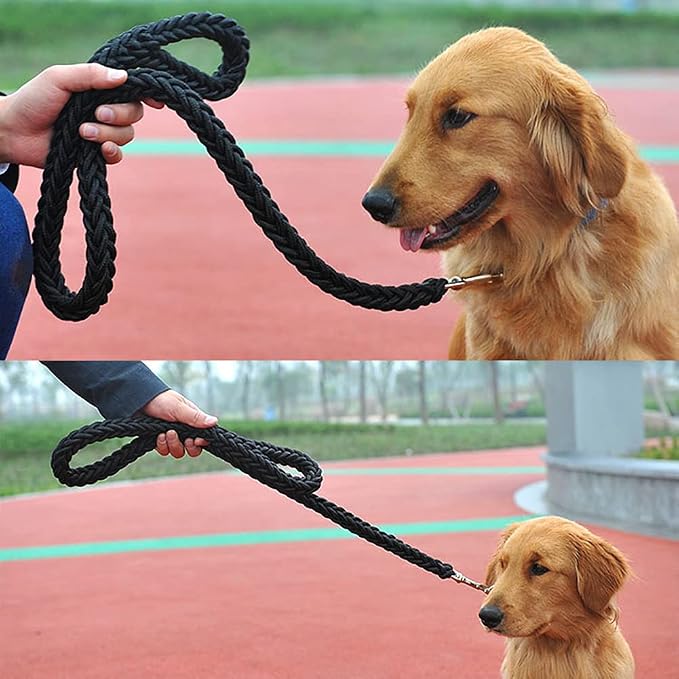 Love Dream Dog Collar and Leash Set, Heavy Duty Nylon Braided Rope Strong 4 FT Dog Leash and Martingale Training Collar for Small Medium Large Dogs Training and Walking (Black)