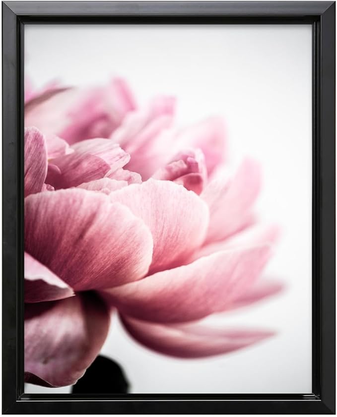 Monem Art Pink Peony Macro Photography Print - Minimalist Floral Art Poster - Wall Decor for Living Room, Bedroom or Office - 8x10 Black Framed CANVAS Wall Art by Mareike Bohmer