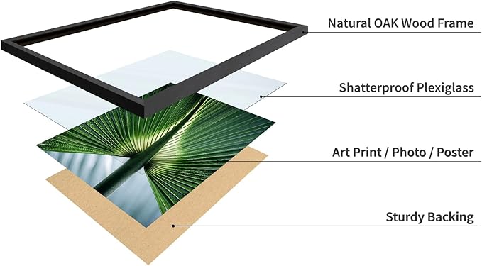 Monem Art Tropical Palm Leaf Macro Photography Print - Minimalist Botanical Nature Art Poster - Wall Decor for Living Room, Bedroom or Office - 12x16 Black Framed Wall Art by Mareike Bohmer