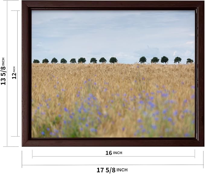 Monem Art Golden Meadow Horizon Landscape Print - Minimalist Nature Photography Poster - Wall Decor for Living Room, Bedroom or Office - 12x16 Brown Framed CANVAS Wall Art by Mareike Bohmer
