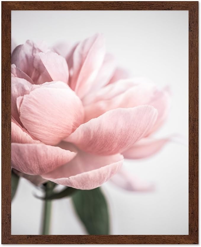 Monem Art Soft Pink Peony Macro Photography Print - Minimalist Floral Art Poster - Wall Decor for Living Room, Bedroom or Office - 16x20 Brown Framed Wall Art by Mareike Bohmer
