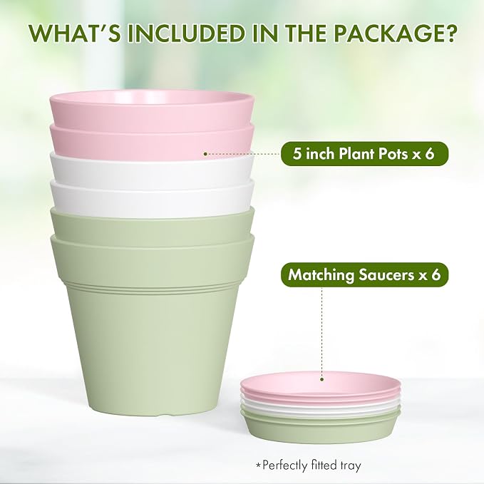 WSMKSZ 5 Inch Plastic Plant Pots with Drainage Holes and Trays – 6 Pack Small Nursery Pots for Indoor & Outdoor House Plants and Flowers, Seedling Starter Planters, Colorful