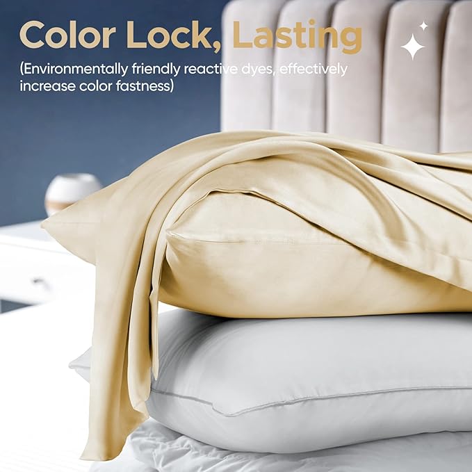 100% Pure Mulberry Silk Pillowcase for Hair and Skin - Allergen Resistant Dual Sides,600 Thread Count Silk Bed Pillow Cases with Hidden Zipper,1pc,Queen Size,Champagne