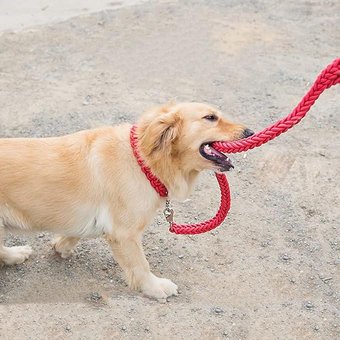 Love Dream Dog Collar and Leash Set, Heavy Duty Nylon Braided Rope Strong 4 FT Dog Leash and Martingale Training Collar for Small Medium Large Dogs Training and Walking (Red)