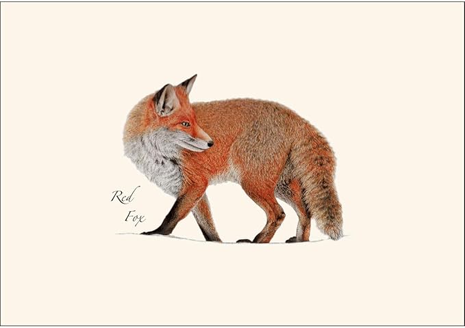 Earth Sky + Water - Red Fox Notecard Set - 8 Blank Cards with Envelopes
