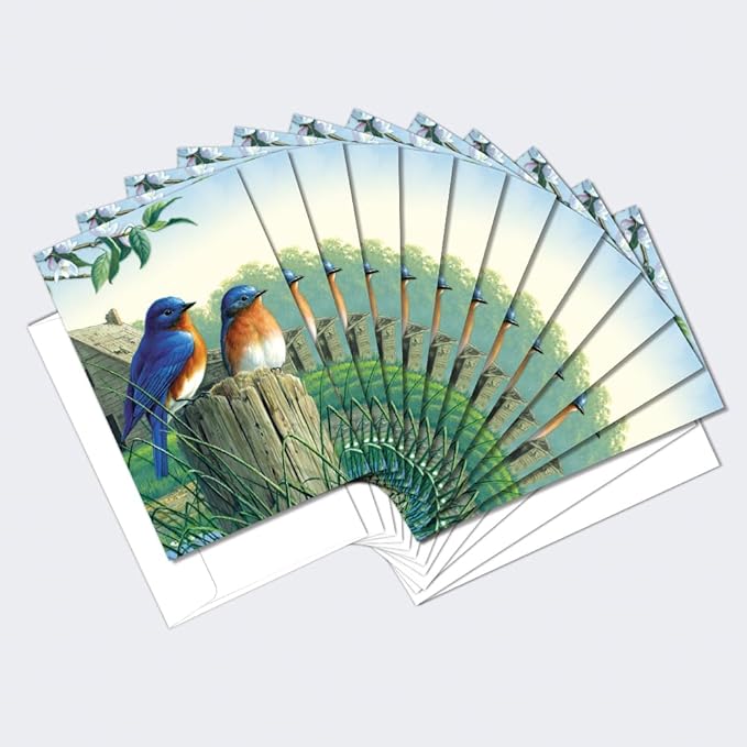 Tree-Free Greetings - All Occasion Cards - Artful Designs - 12 Greeting Cards + White Envelopes - Made in USA - 100% Recycled Paper - 4 x 6 - Morning Bluebirds (FS66817)