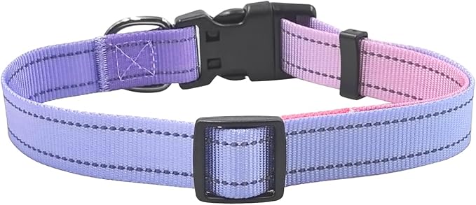 Dog Collar Leash Set, Gradient Color, with Safety Reflective Strips, 5 ft Matching Leash, Neoprene Padded Handle, Adjustable 4 Sizes for Small Medium Large Dogs.(S, Lilac Pink)