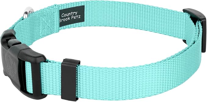 Country Brook Petz - Everyday Nylon Dog Collar and Leash - 10+ Cool Colors (1 Inch, Extra Large, Light Cyan)