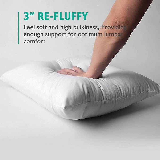 APSMILE Organic 16x16 Feather Down Throw Pillow Inserts Set of 2, 100% Cotton Fabric, Soft Fluffy Square Decorative Pillow Form Core for Sofa, Bed, Couch, Cushion Sham Stuffer