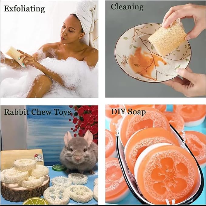 Natural Loofah Sponge Body Scrubber for Men & Women – Set of 3 Organic Exfoliating Bath Sponge for Deep Body Cleansing - Handcrafted in Vietnam (3 Count)