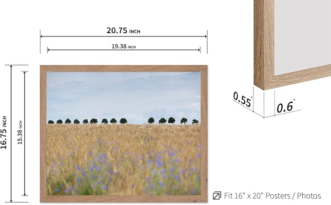 Monem Art Golden Meadow Horizon Landscape Print - Minimalist Nature Photography Poster - Wall Decor for Living Room, Bedroom or Office - 16x20 Beige Framed Wall Art by Mareike Bohmer