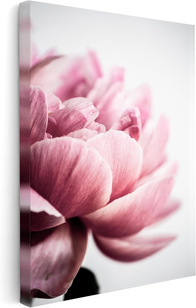 Monem Art Pink Peony Macro Photography Print - Minimalist Floral Art Poster - Wall Decor for Living Room, Bedroom or Office - 16x20 STRETCHED CANVAS Wall Art by Mareike Bohmer