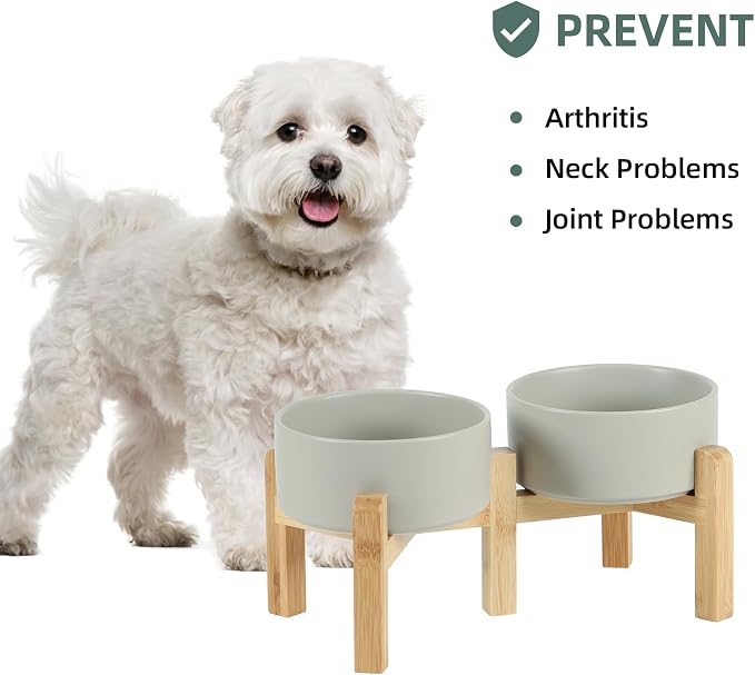 Havniva 6.1” Dog Bowls Elevated Ceramic Dog Food and Water Bowl Set, Double Raised Dog Water Bowl with Stand Non-Slip Rubber Base Two Heights Large Capacity Feeding Pet Food Bowl for Small Dogs