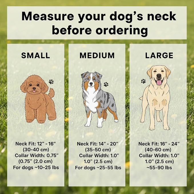 Dog Leash and Collar Set – 6 FT Strong Rope Leash with Padded Handle & Adjustable Nylon Collar Reflective for Small Medium Large Dogs (Orange, L)