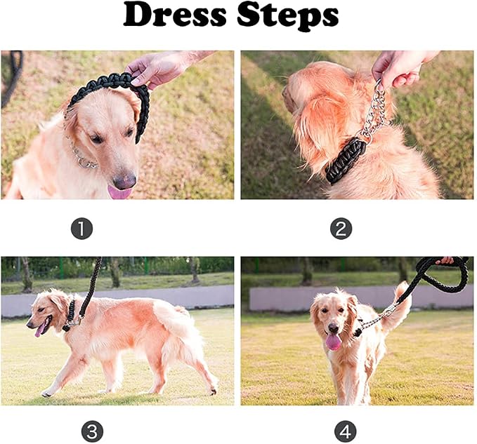 Love Dream Dog Collar and Leash Set, Heavy Duty Nylon Braided Rope Strong 4 FT Dog Leash and Martingale Training Collar for Small Medium Large Dogs Training and Walking (Green)