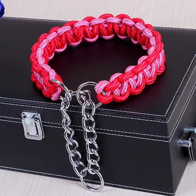 Love Dream Dog Collar and Leash Set, Heavy Duty Nylon Braided Rope Strong 4 FT Dog Leash and Martingale Training Collar for Small Medium Large Dogs Training and Walking (Pink)