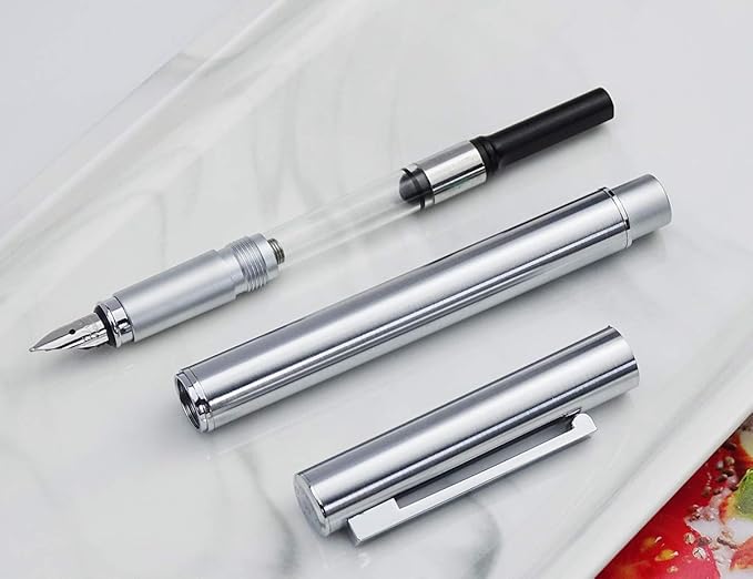 Hongdian 516 Stainless Steel Fountain Pen Fine Nib, Classic Design with Converter and Pen Pouch