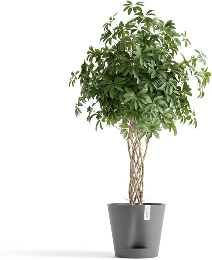 Ecopots Venice 2 Durable Modern Round Indoor/Outdoor Recycled-Based Composite Flower Pot Planter w/Water Reservoir, Grey, 16"