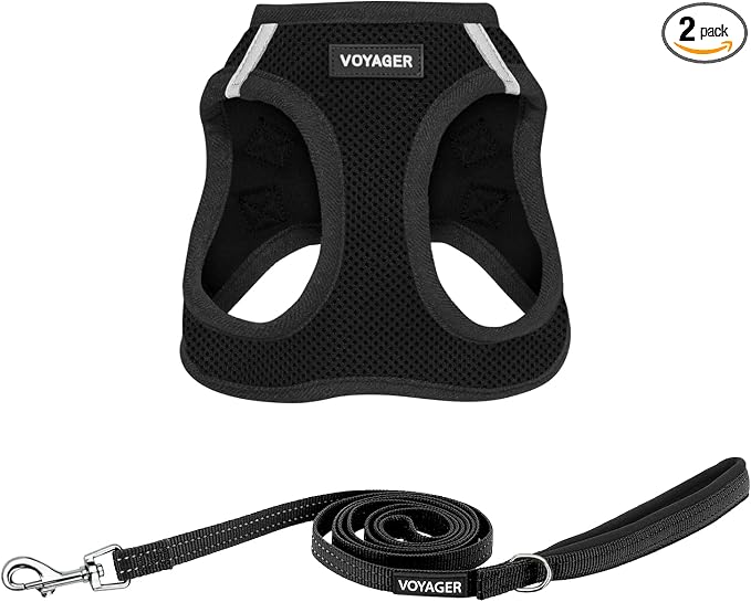 Best Pet Supplies Voyager Step-in Air All Weather Mesh Harness and Reflective Dog 5ft Leash Combo with Neoprene Handle, for Small, Medium and Large Breed Puppies - Black, XX-Small