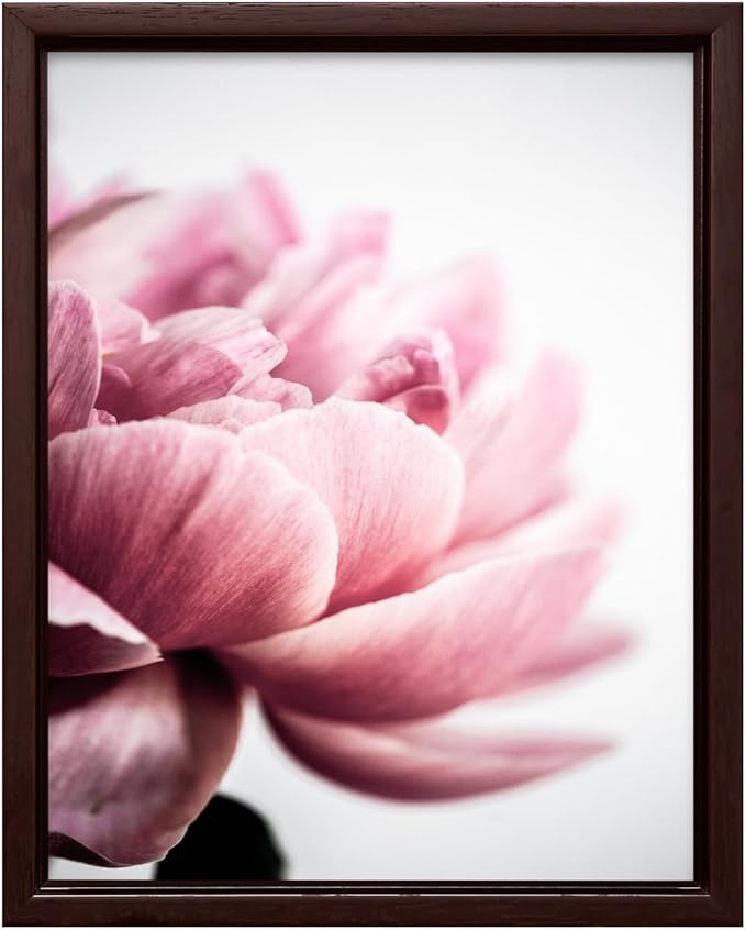 Monem Art Pink Peony Macro Photography Print - Minimalist Floral Art Poster - Wall Decor for Living Room, Bedroom or Office - 18x24 Brown Framed CANVAS Wall Art by Mareike Bohmer