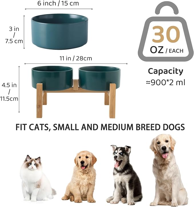 Raised Ceramic Dog Bowl Set - Elevated Dog Bowls with Non Slip Bamboo Stand, Food and Water Bowl Set for Small and Medium Breed Dogs, Pet Bowls, Weighted Dogs Dishes (6'', 2 * 30OZ, Green)