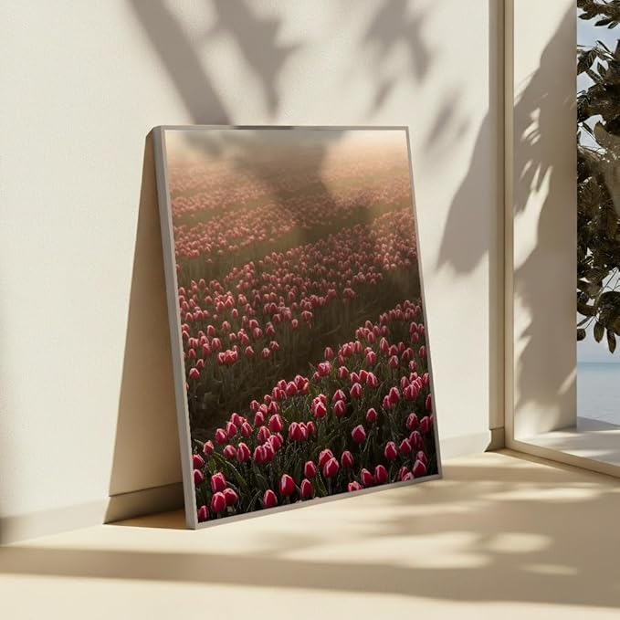 Monem Art Golden Tulip Field Sunset Photography Print - Romantic Spring Landscape Art Poster - Wall Decor for Living Room, Bedroom or Office - 24x32 Silver Framed CANVAS Wall Art by Mareike Bohmer