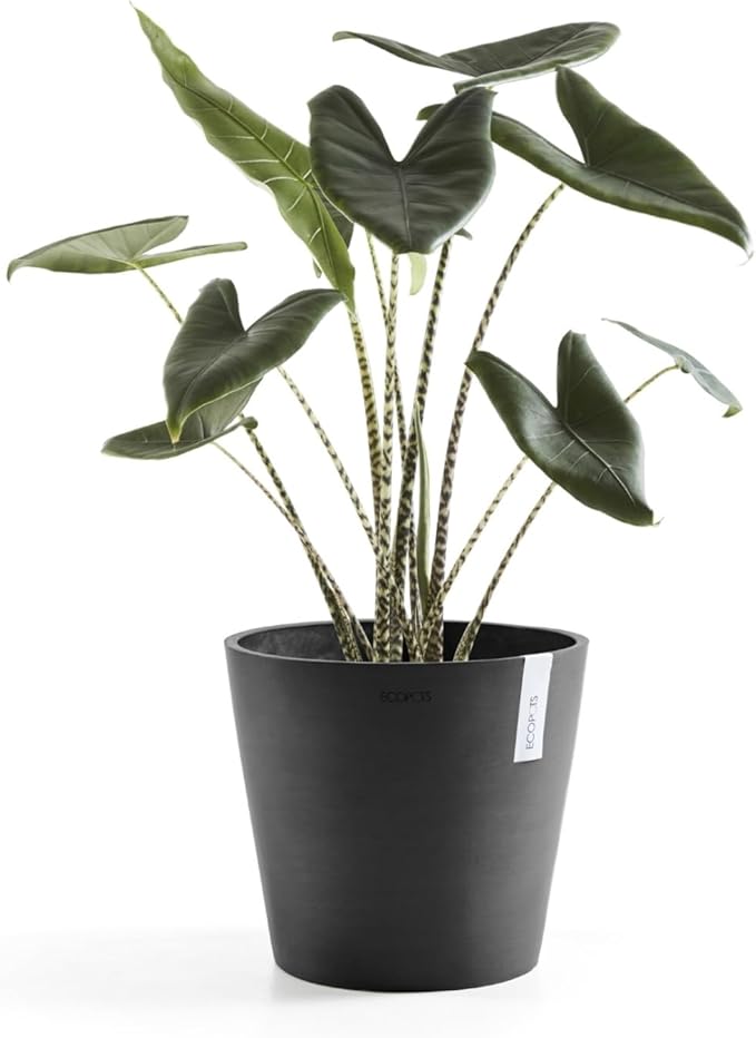 Ecopots Amsterdam Durable Modern Round Indoor/Outdoor Recycled-Based Composite Flower Pot Planter, Dark Grey, 12"