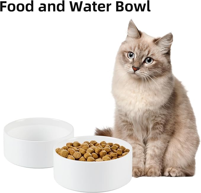 Havniva 5.1” Ceramic Dog Bowls, Small Dog Food and Water Bowl Set of 2, Durable Dog Water Bowl with Non-Slip Rubber Base Large Capacity Pet Feeding Bowl for Small Dogs