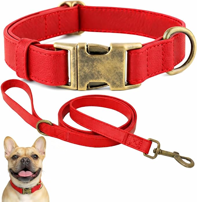 Silicone Dog Collar and Leash Set, Waterproof & Odor-Proof Puppy Collar for Small Dogs, Soft Flexible Leather-Look Dog Collars, Durable Thick Adjustable Pet Collar (Red, Small (11-15.5" Neck))